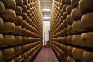 Parmigiano Reggiano maturing