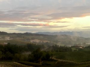 The Barolo Wine Hills