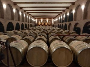 Wine cellar in Barolo